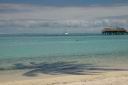 HoneyMoon 469.jpg